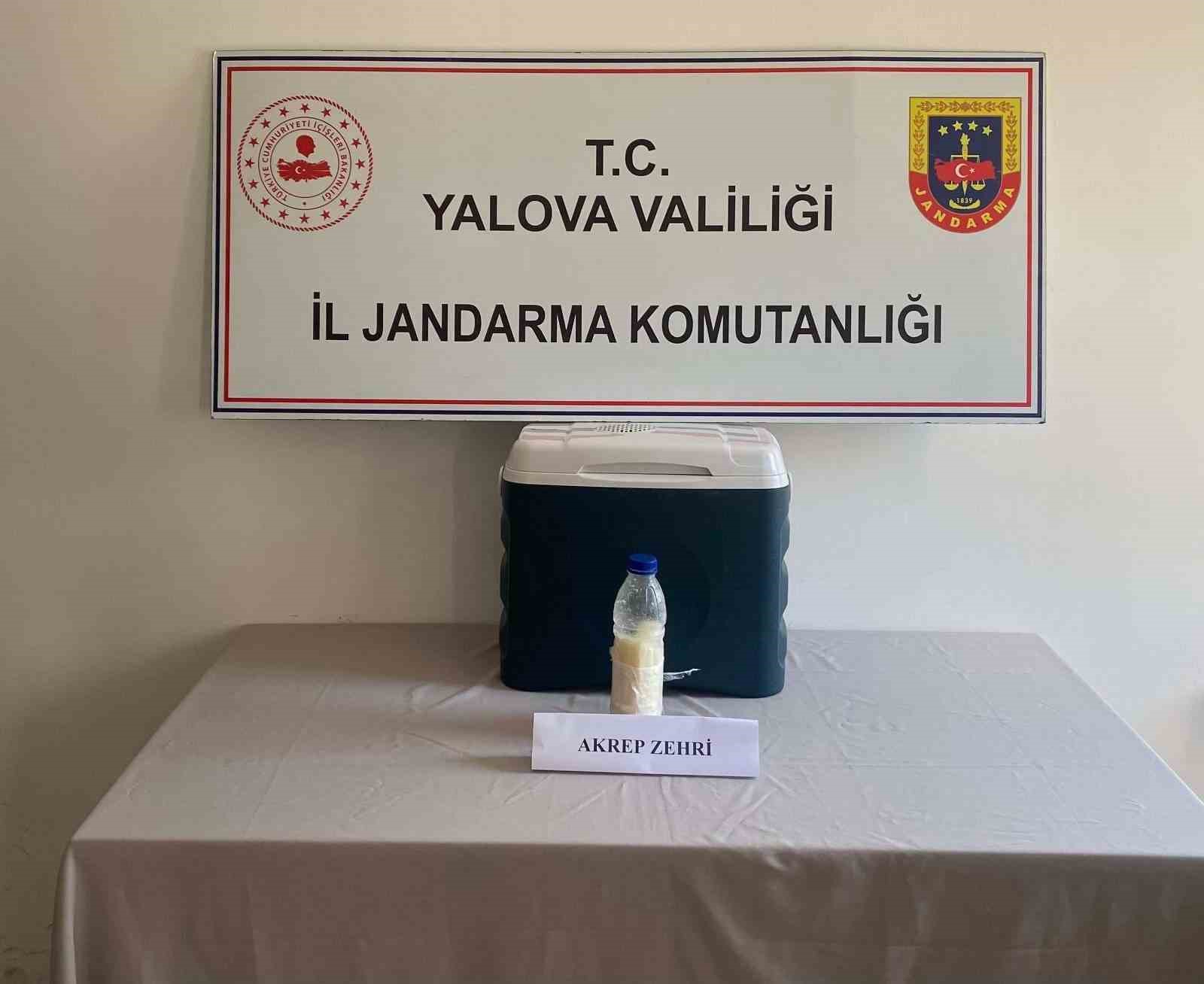 5 milyon dolarlık akrep zehri Yalova’da yakalandı
