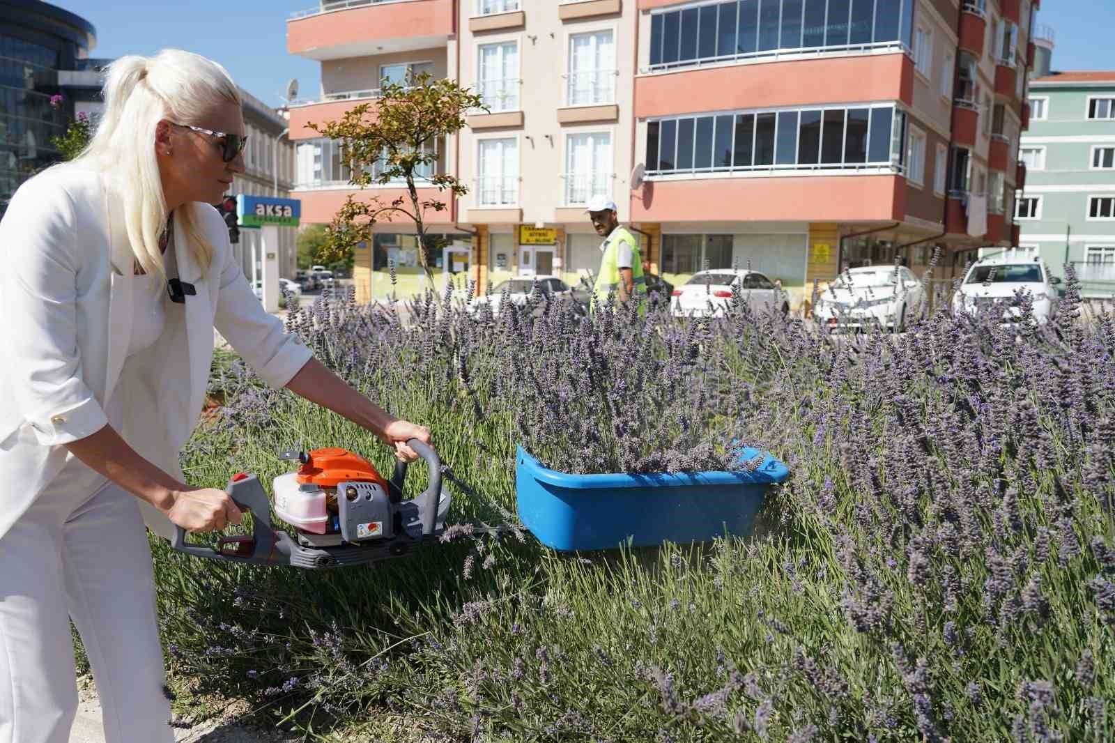 60 ülkeden 381 proje arasında Bilecik ve İstanbul yer aldı
