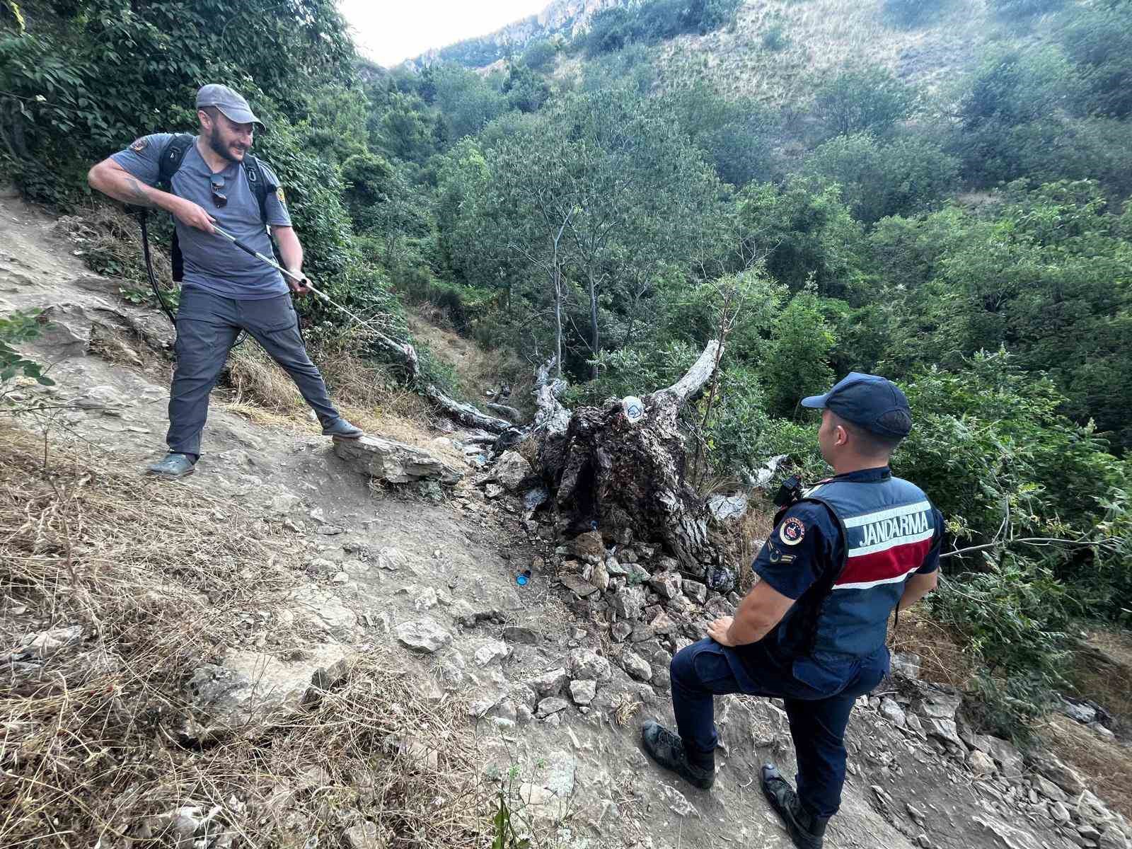 Ağaç yangını korkuttu
