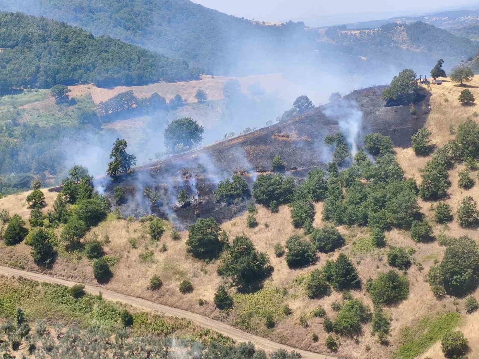Alevler, ormana sıçramadan söndürüldü
