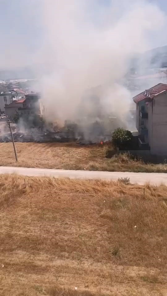 Anız yangınında 20 dönüm tarım alanı yandı
