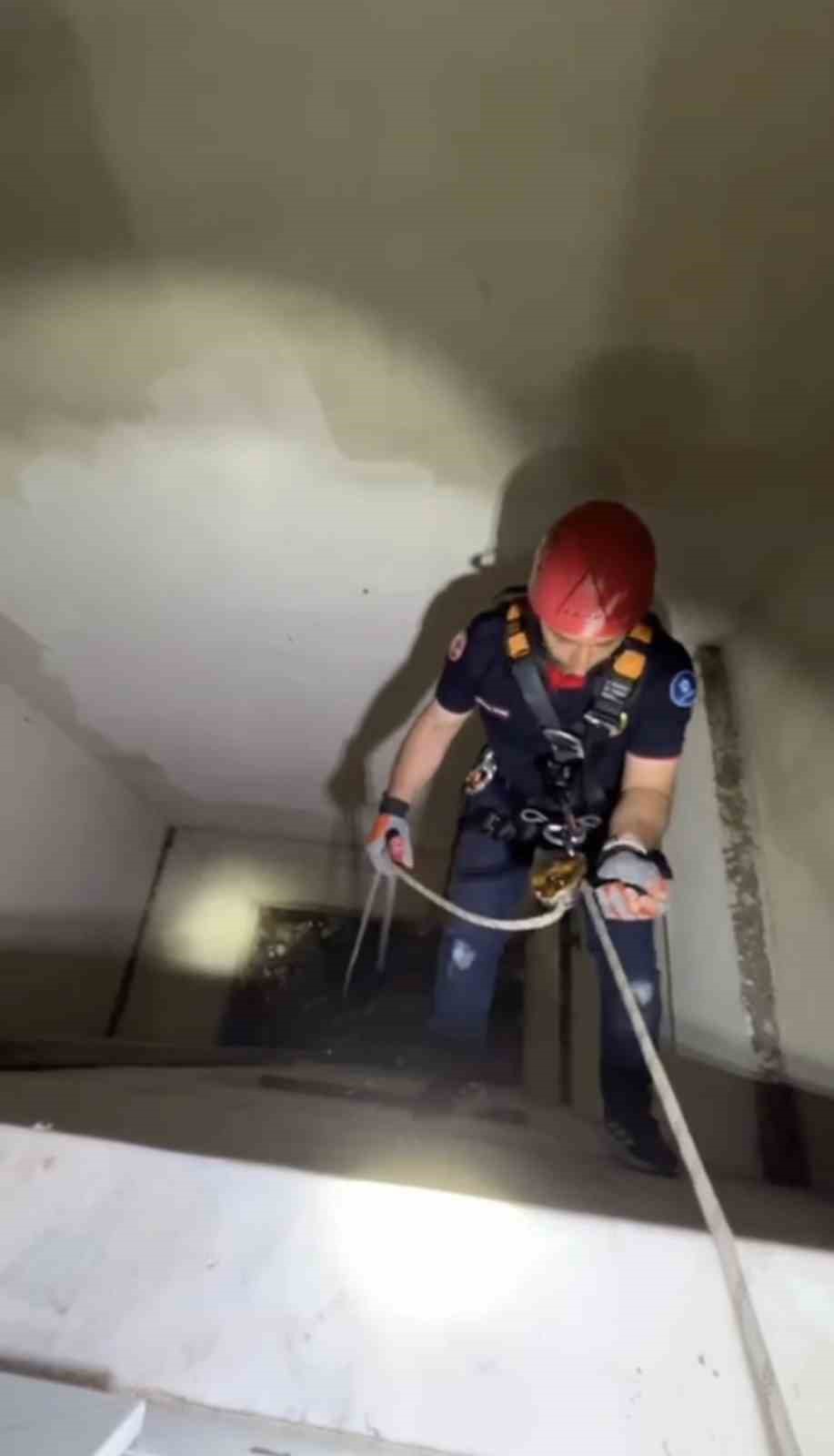 Apartman boşluğuna düşen yavru martı ekiplerce kurtarıldı
