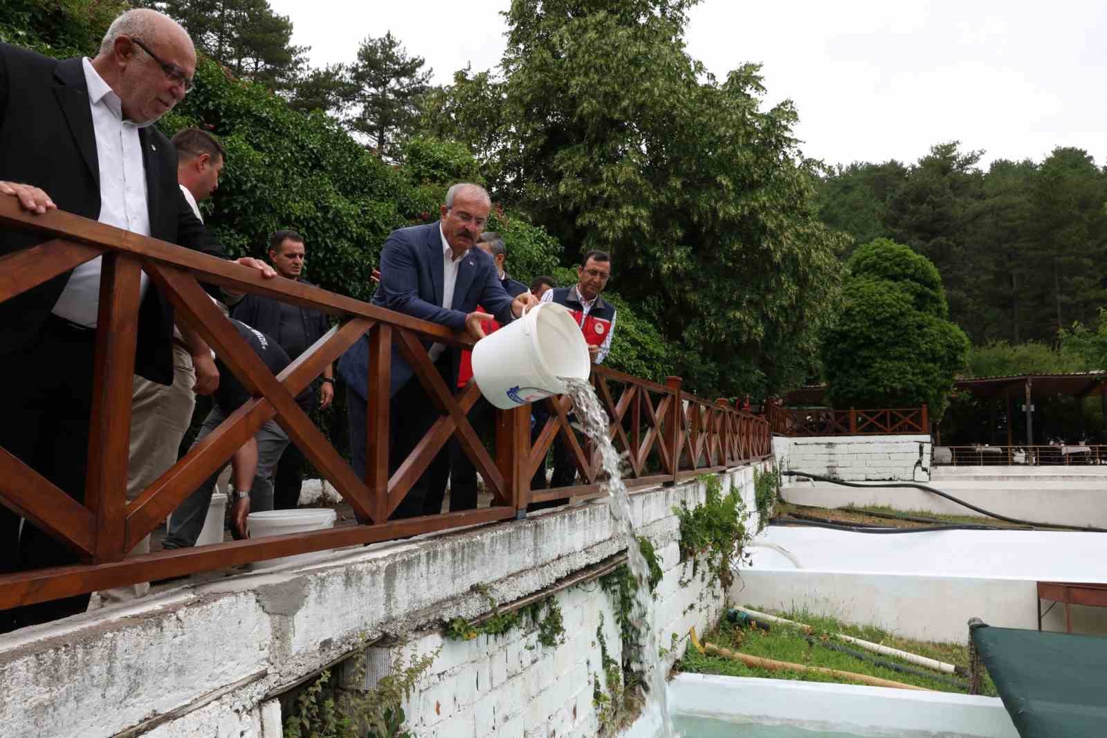 Ayazma Deresi’ne 50 bin kırmızı benekli alabalık yavrusunu bırakıldı
