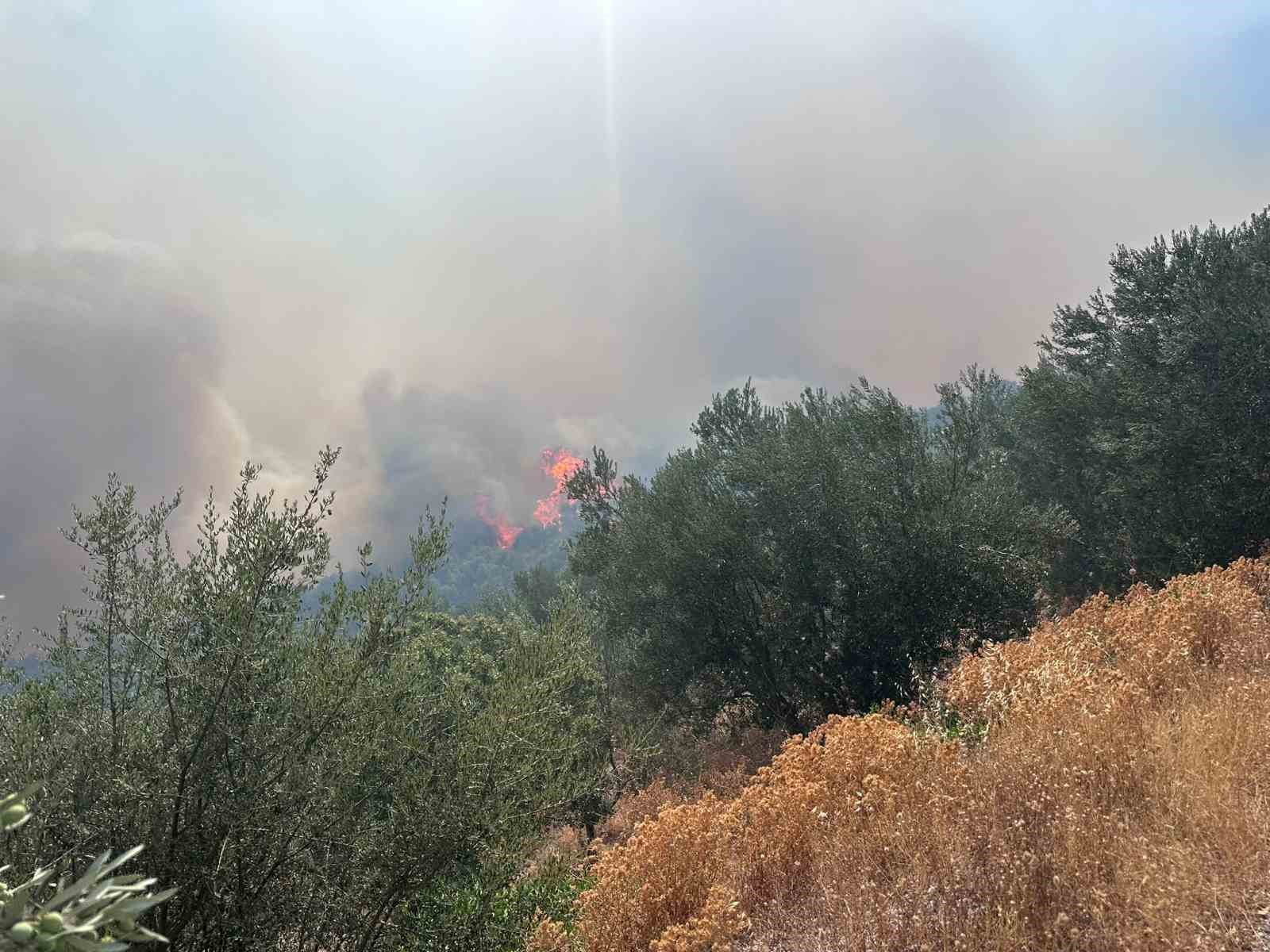 Ayvacık’ta arazi yangını ormana sıçradı
