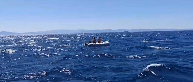 Ayvalık açıklarında sürüklenen 2 kişi Sahil Güvenlik tarafından kurtarıldı
