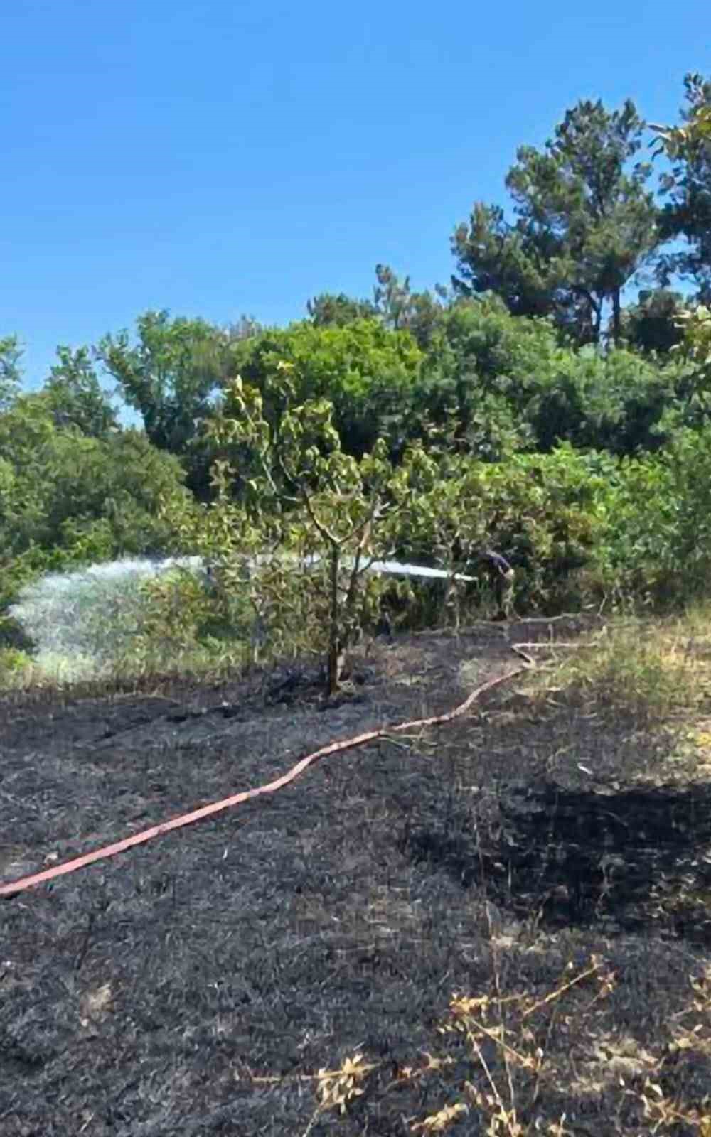 Bahçede çöp yaktı, 4 dönümlük alanı küle çevirdi
