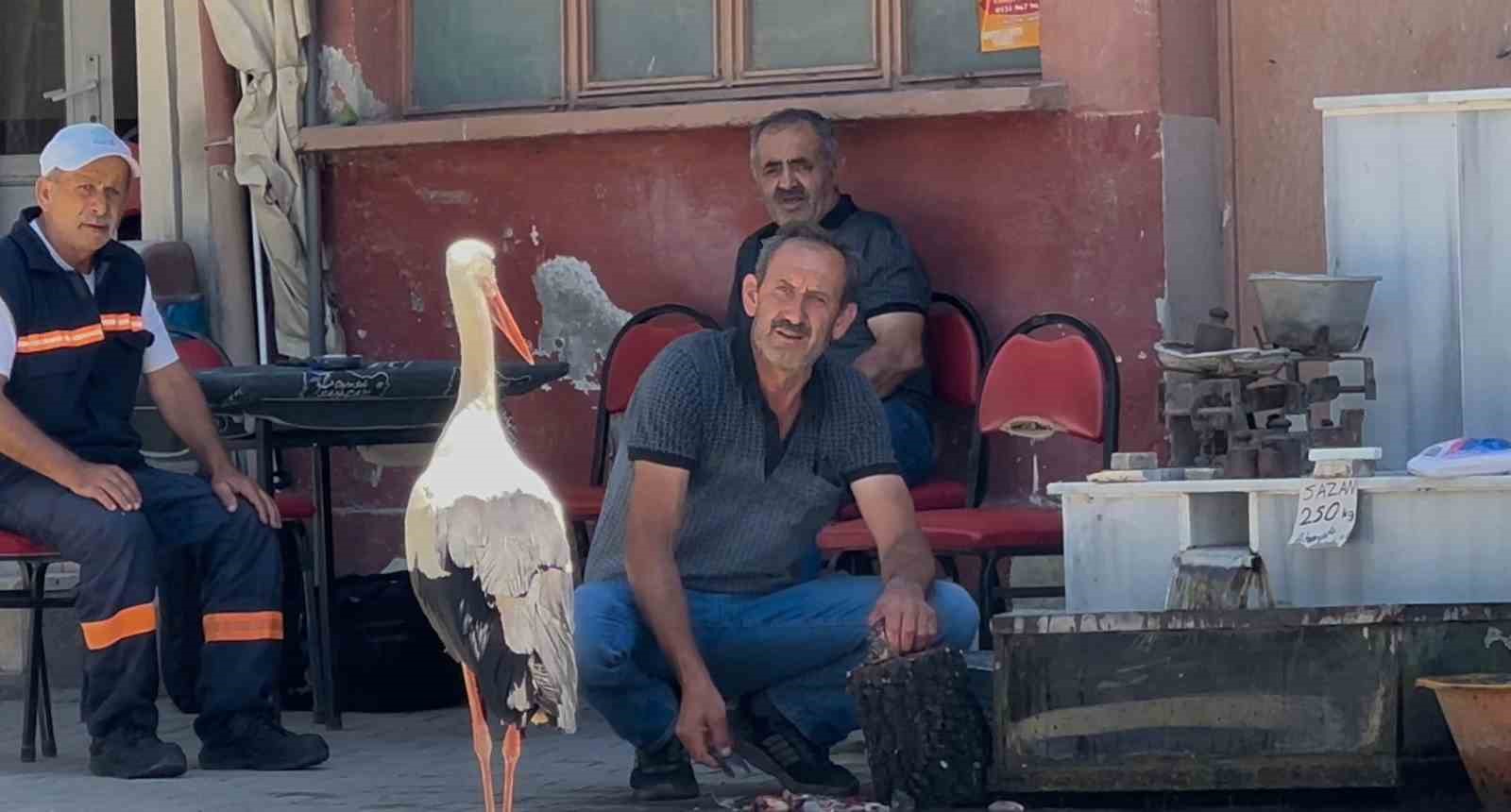Balıkçı Ahmet ile leyleğin 10 yıllık kahvehane randevusu
