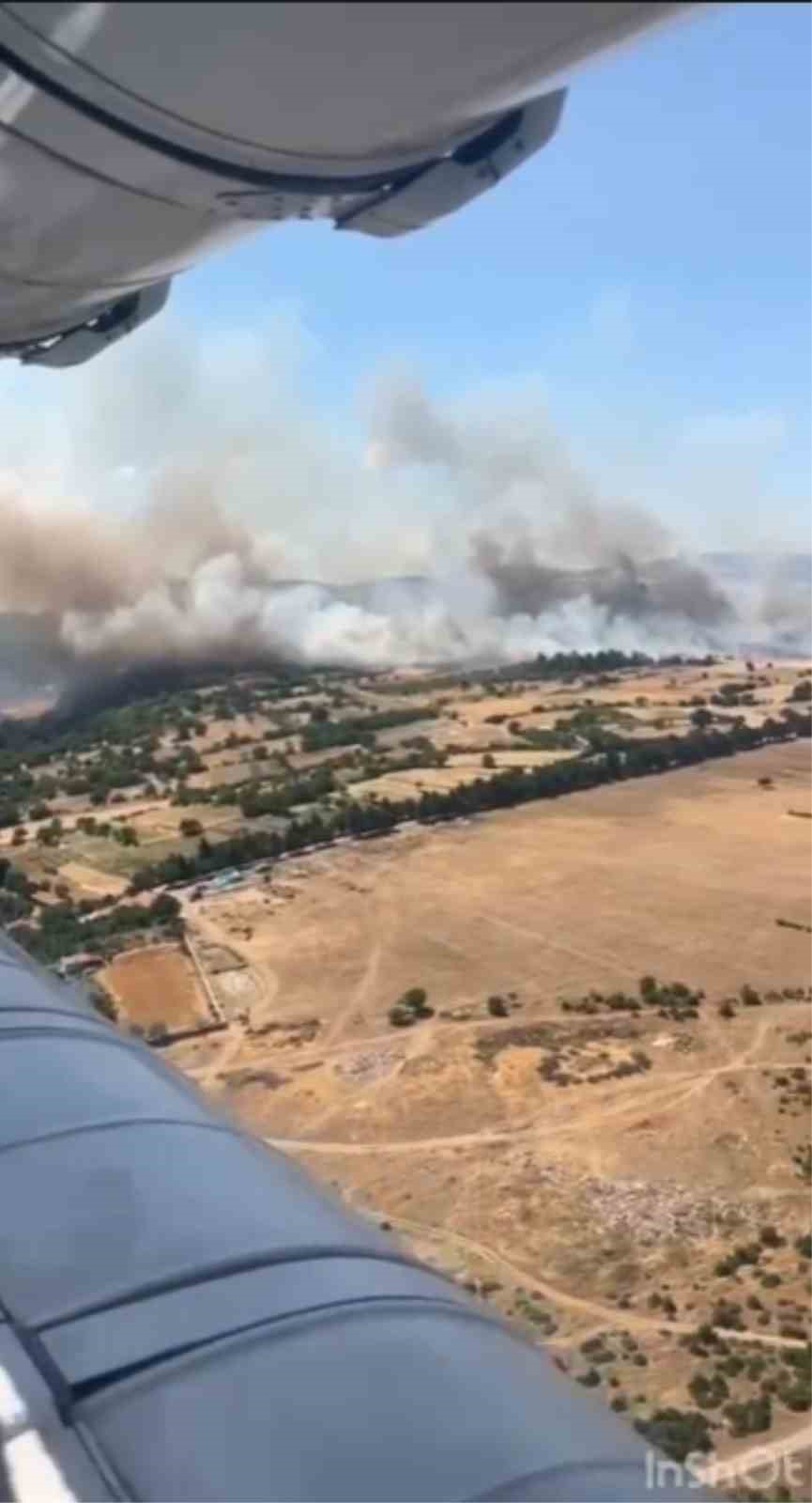 Balıkesir Altıeylül’de orman yangını
