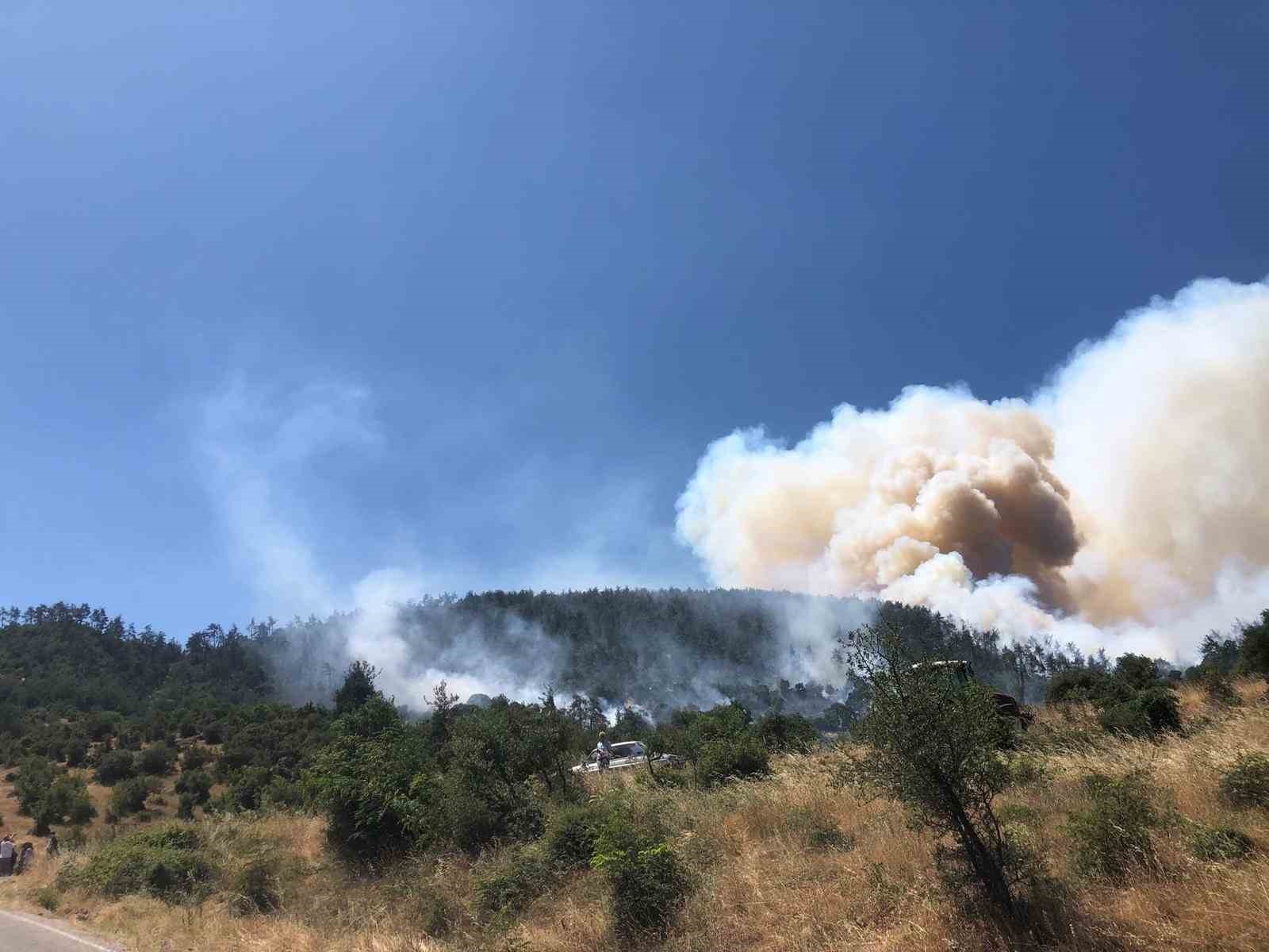 Balıkesir Kepsut’ta orman yangını
