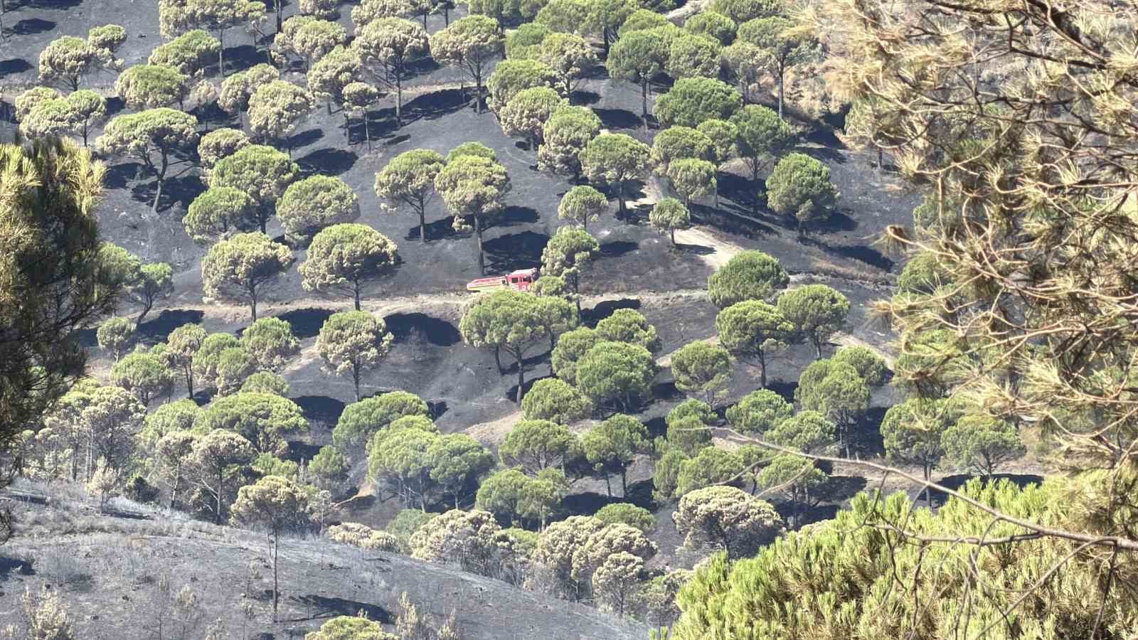 Balıkesir yangınlarında sona doğru
