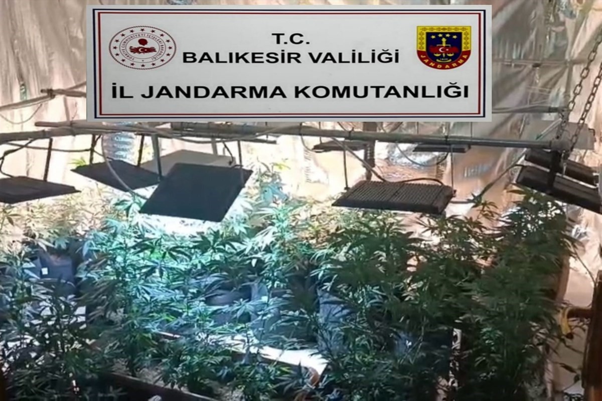 Balıkesir’de jandarmadan uyuşturucu serasına çevrilen evlere baskın: 12 gözaltı
