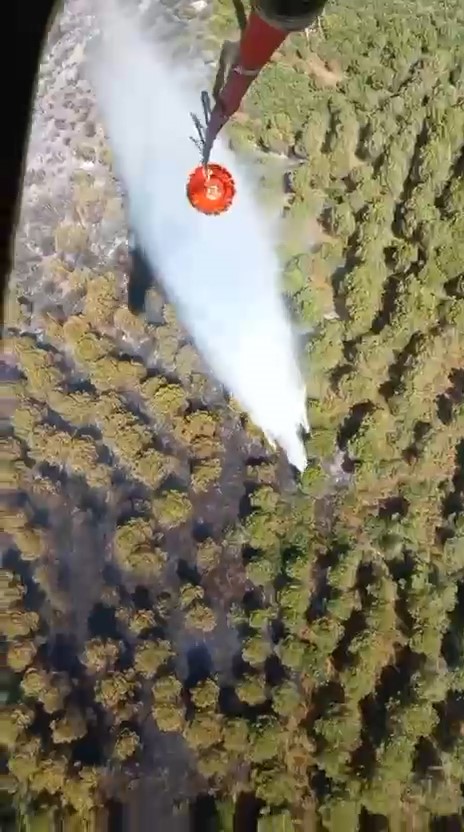 Balıkesir’de orman yangını
