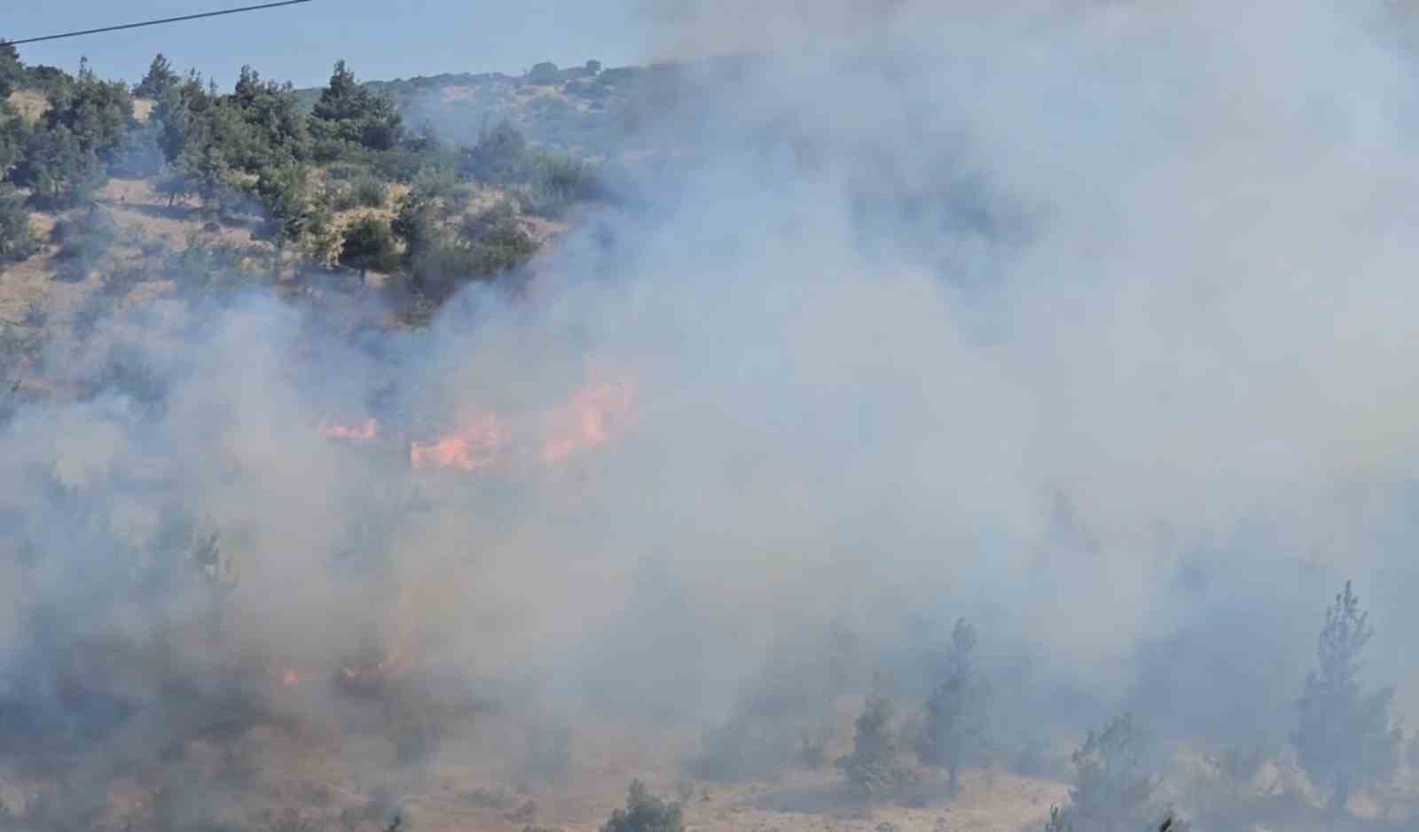 Balıkesir’de otluk ve koruluk alanda yangın
