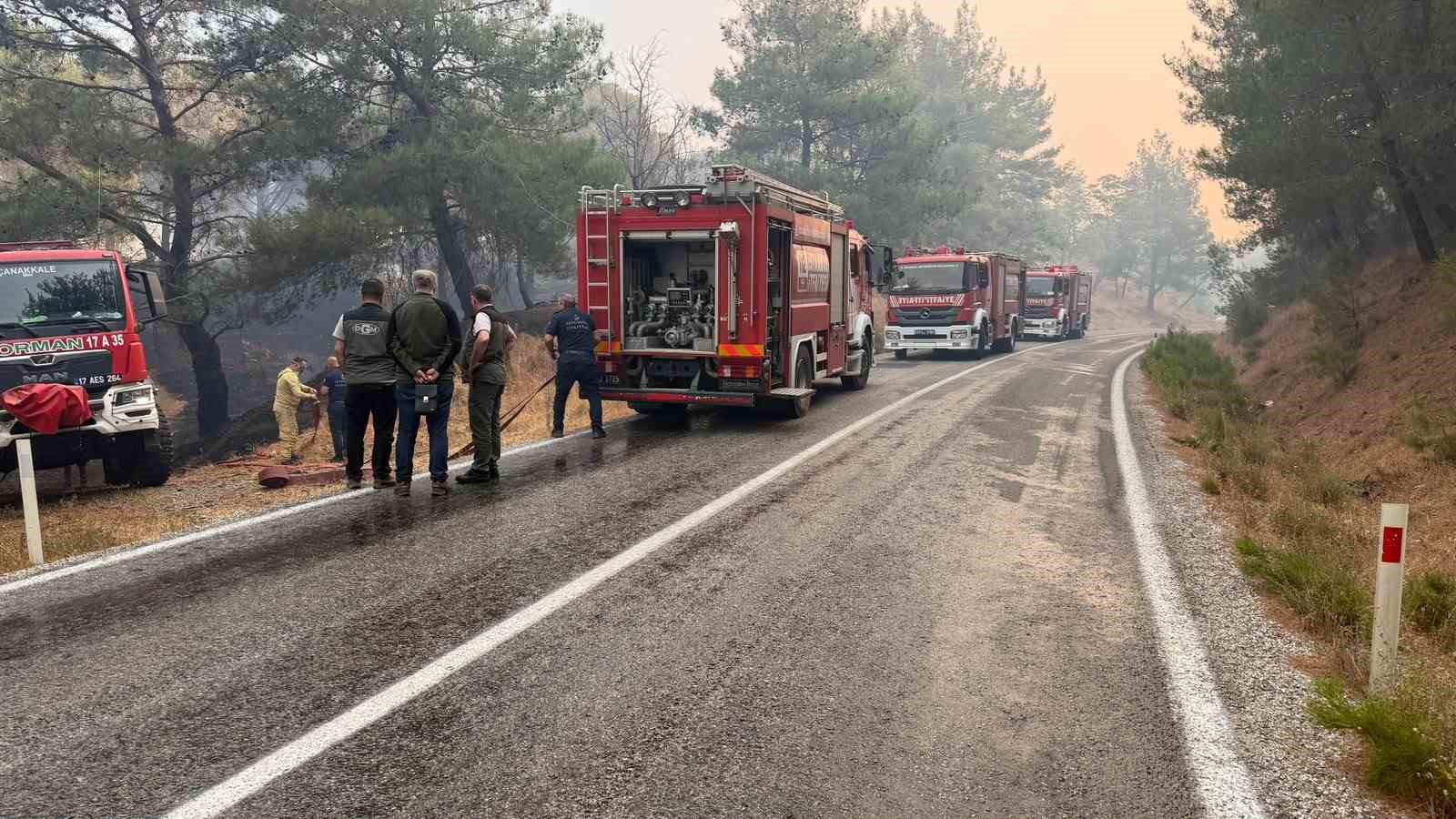 Balıkesir’deki yangın sebebiyle Ayvalık Bergama yolu trafiğe kapatıldı
