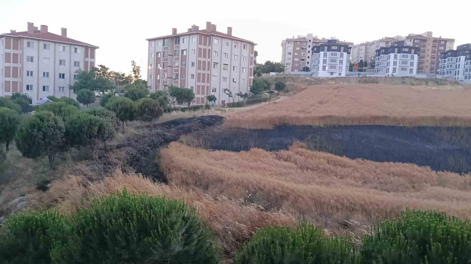 Bandırma’da buğday tarlası yangını korkuttu
