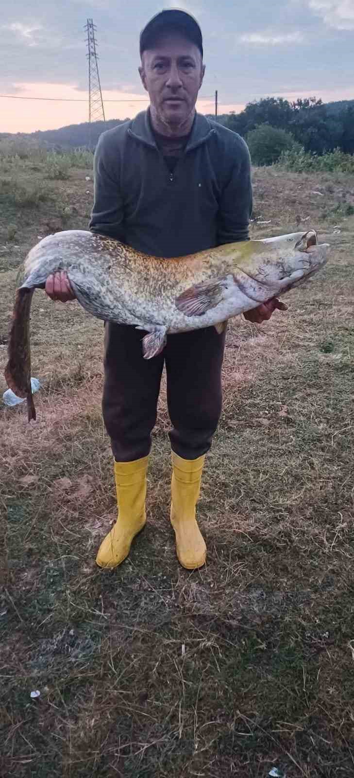 Barajın devi oltaya takıldı: 35 kiloluk yayın balığı yakaladı
