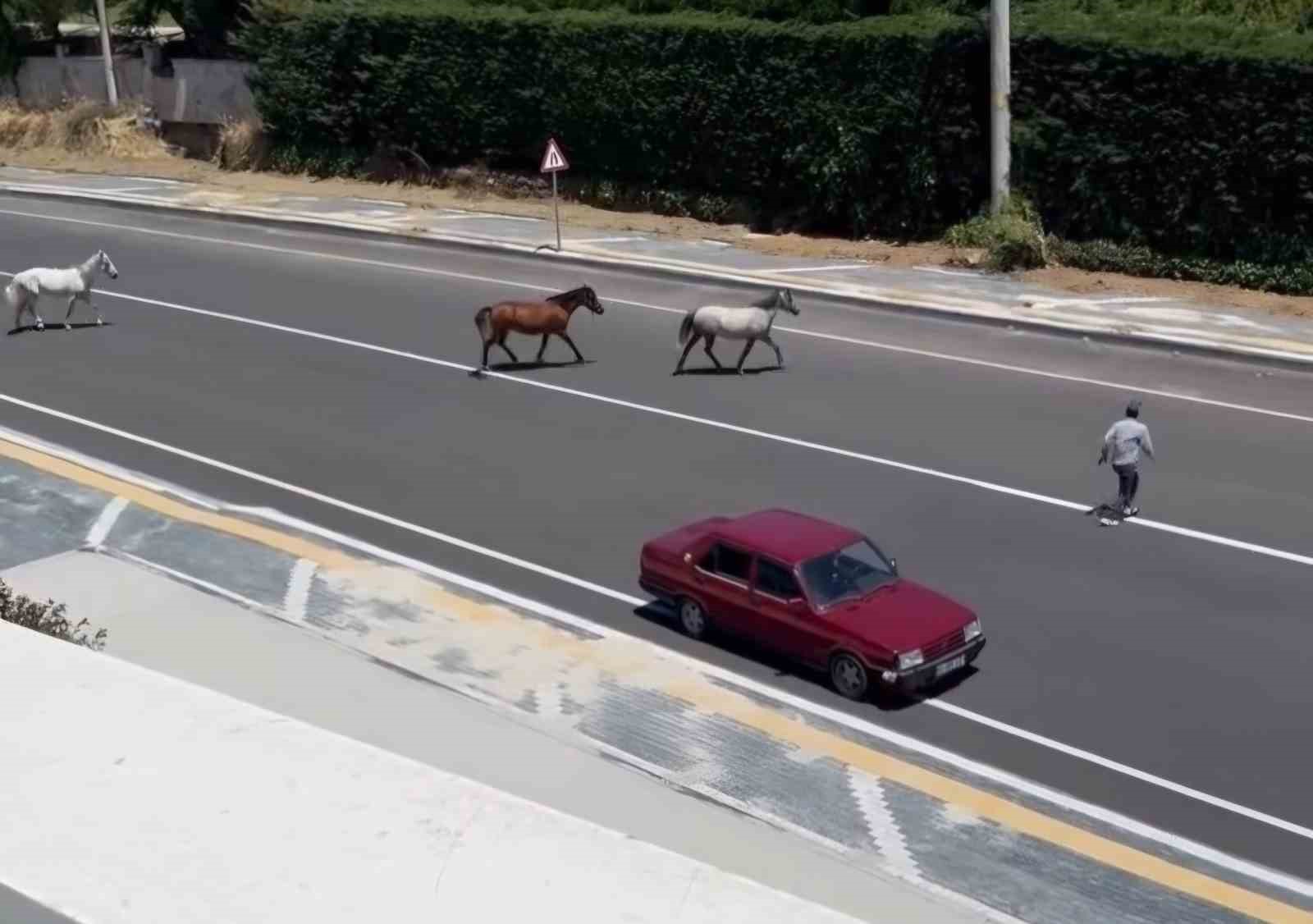 Başıboş atlar yürekleri ağza getirdi
