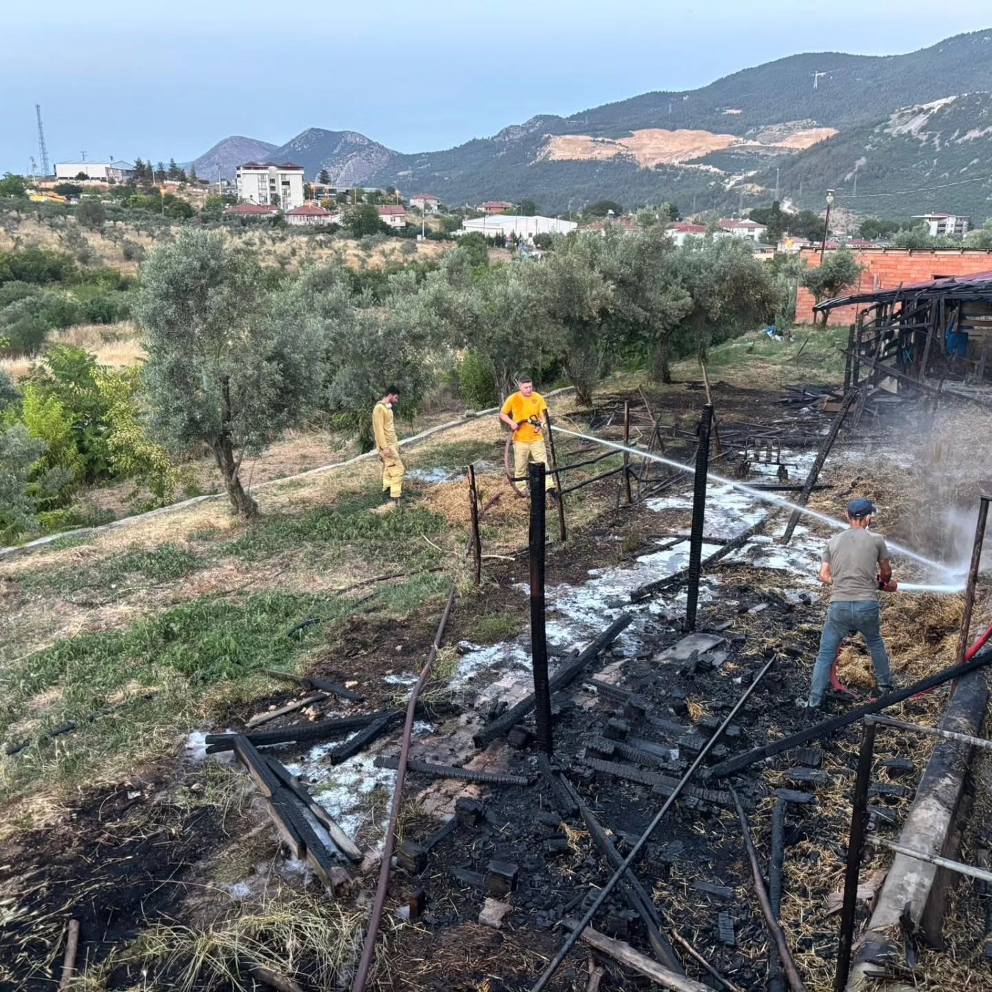 Bilecik’te bir ahır çıkan yangında kül oldu
