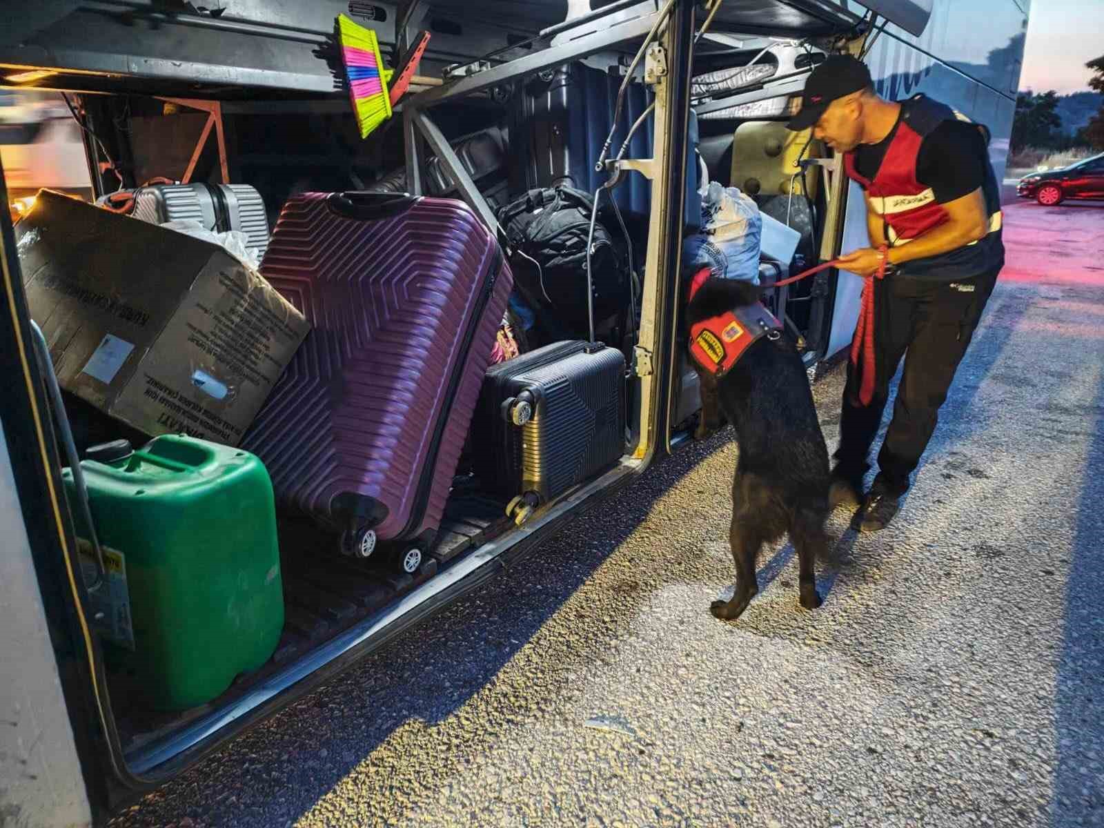 Bilecik’te trafik ihlallerine 32 bin liralık ceza
