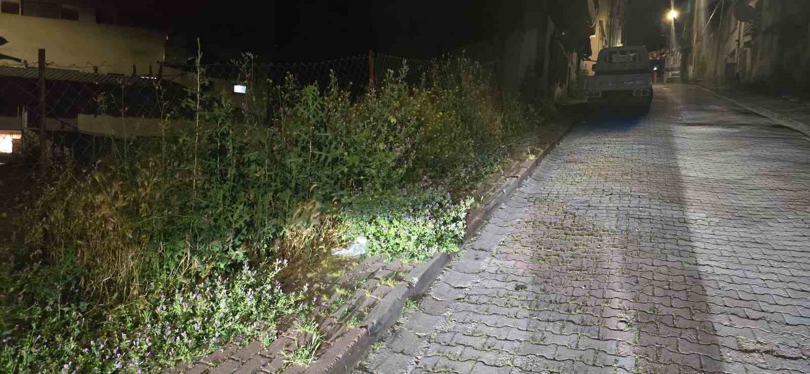 Bilecik’te vatandaşlar otlardan kaldırımda yürüyemiyor
