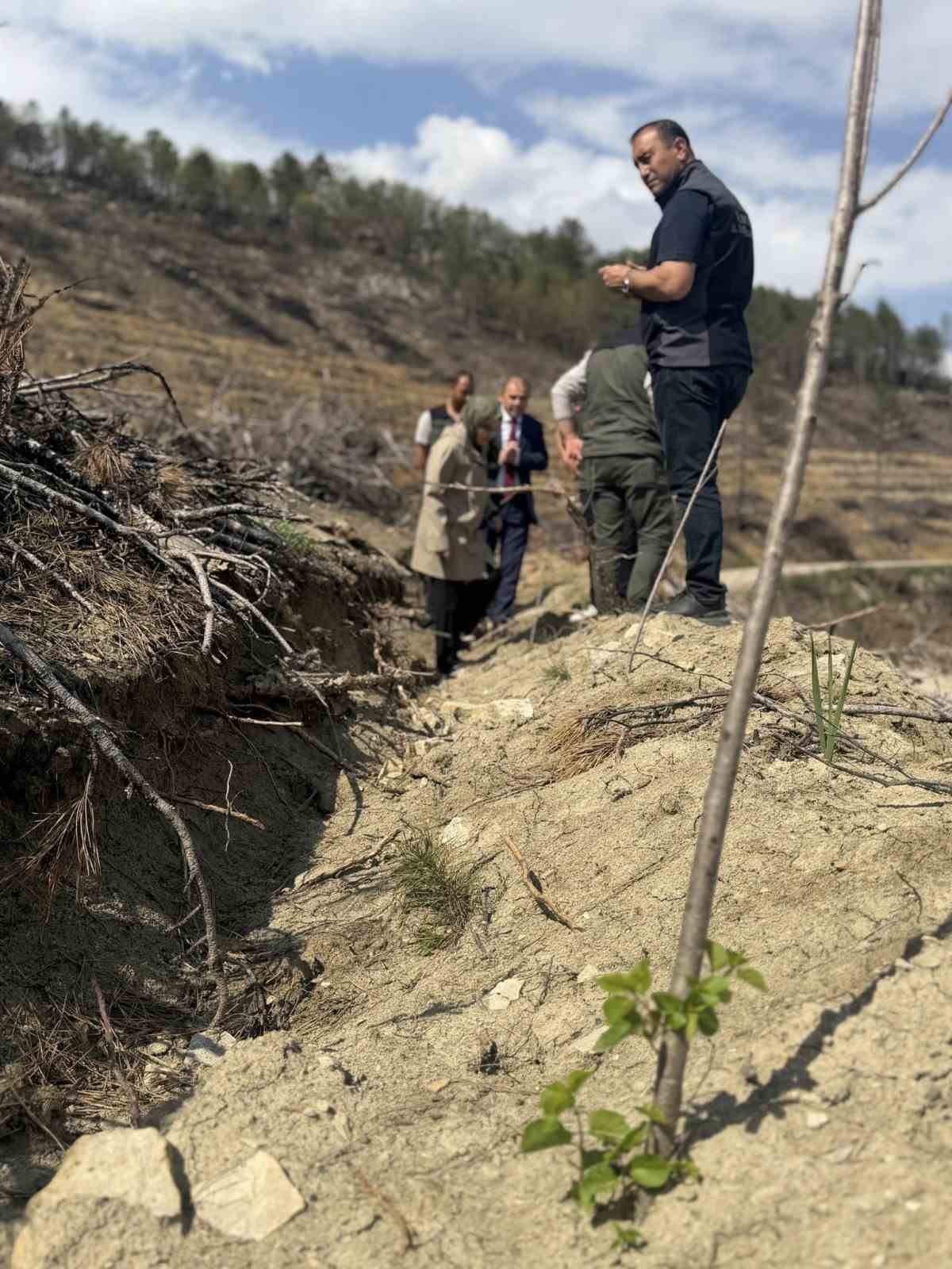 Bilecik’te yangın sahalarında ağaçlandırma çalışmaları incelendi
