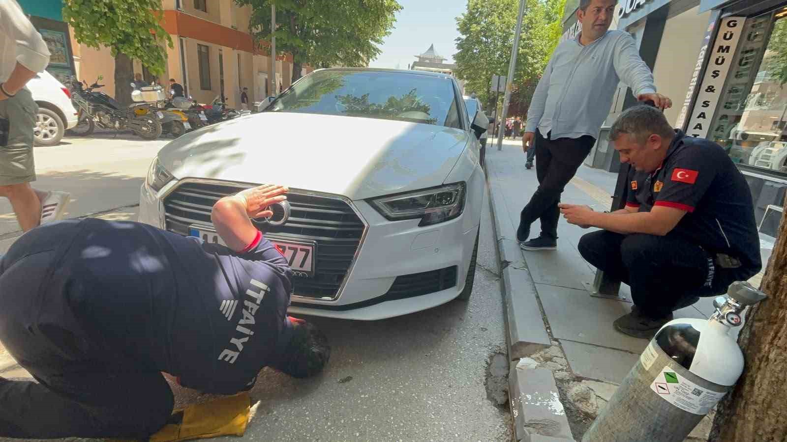 Bir arabadan çıkıp başka arabaların altına giren kedi itfaiyecilere zor anlar yaşattı
