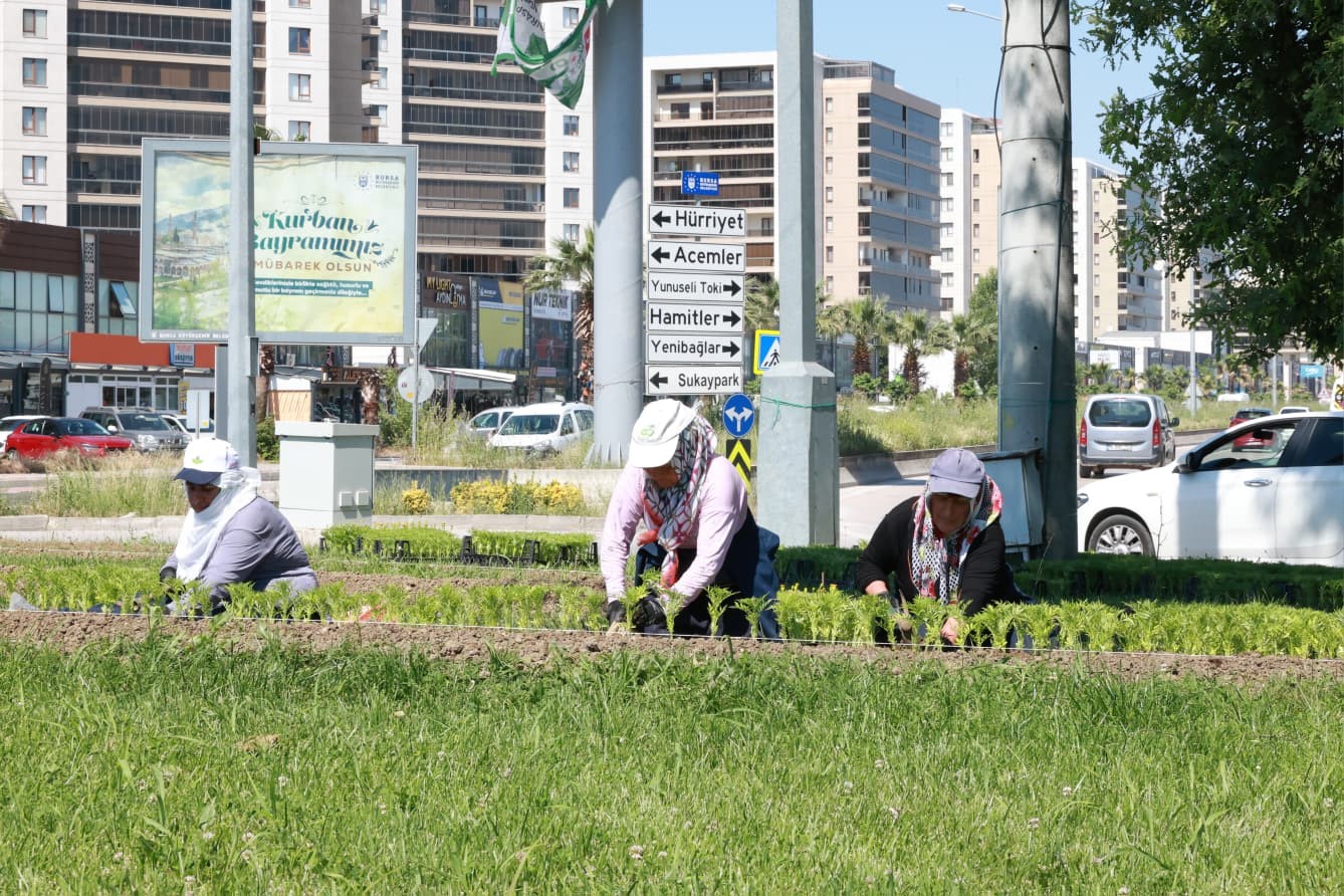 Bu yaz Osmangazi’de çiçek kokuları eksik olmayacak
