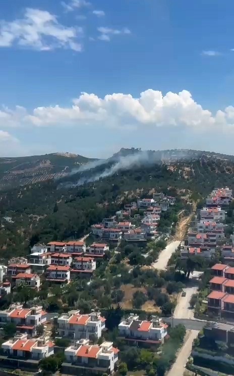 Burhaniye’deki zeytinlik yangını kontrol altına alındı
