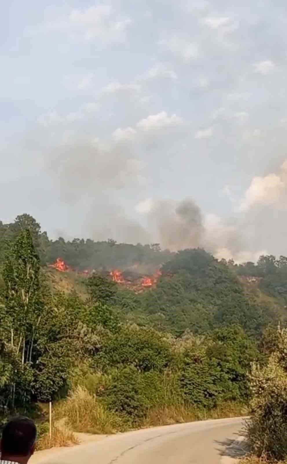 Bursa’da makilik alanda yangın

