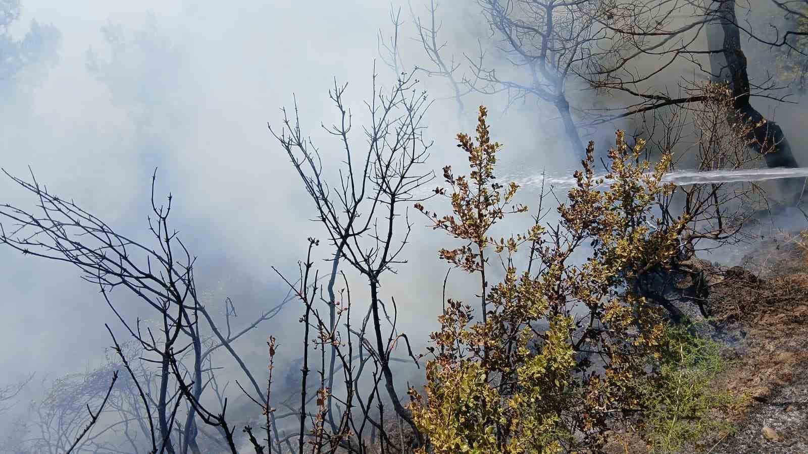 Bursa’da piknik alanı yakınındaki yangın korkuttu
