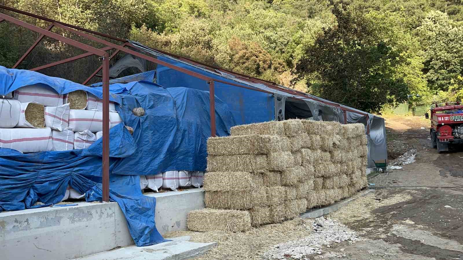 Bursa’daki orman yangınında 1 kişi gözaltına alındı
