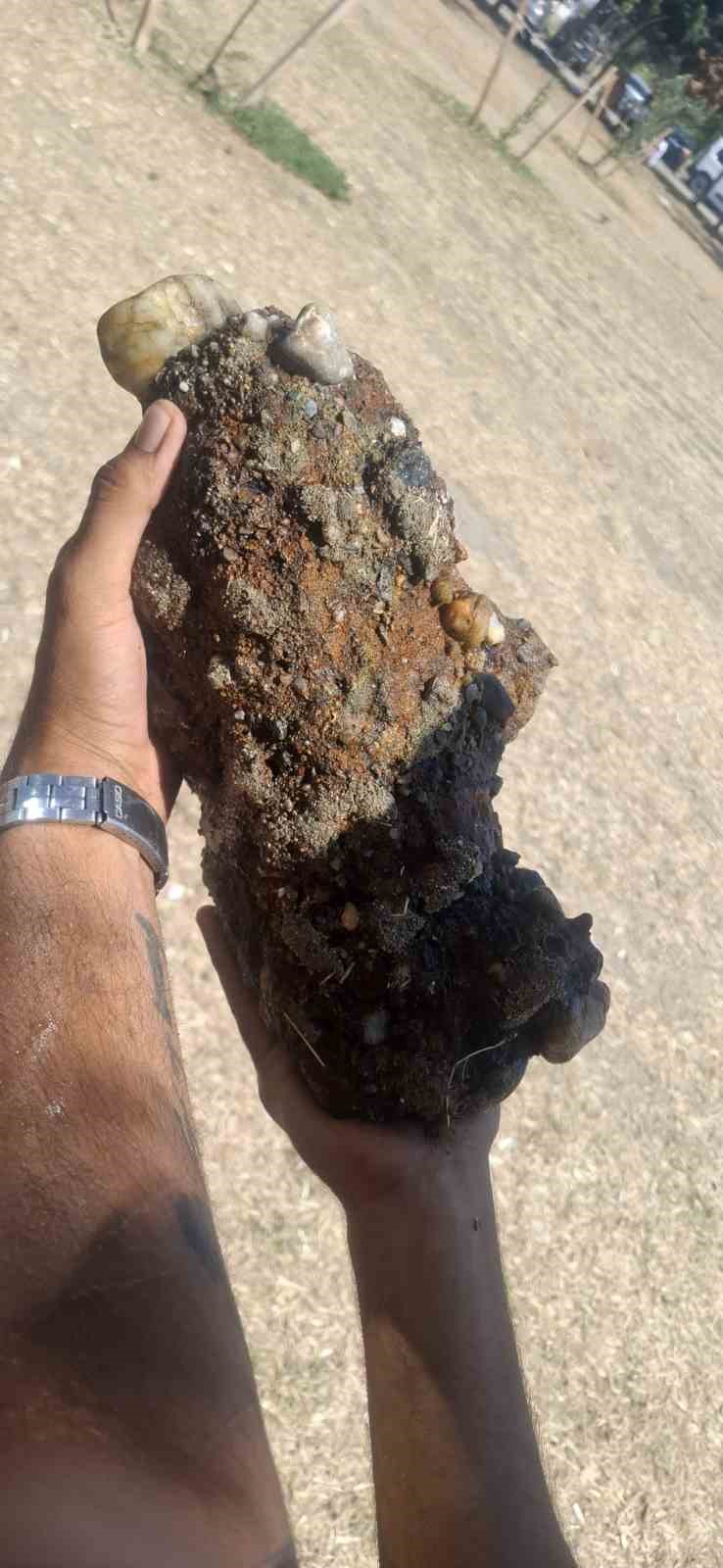 Çanakkale’de plajda patlamamış askeri mühimmat bulundu
