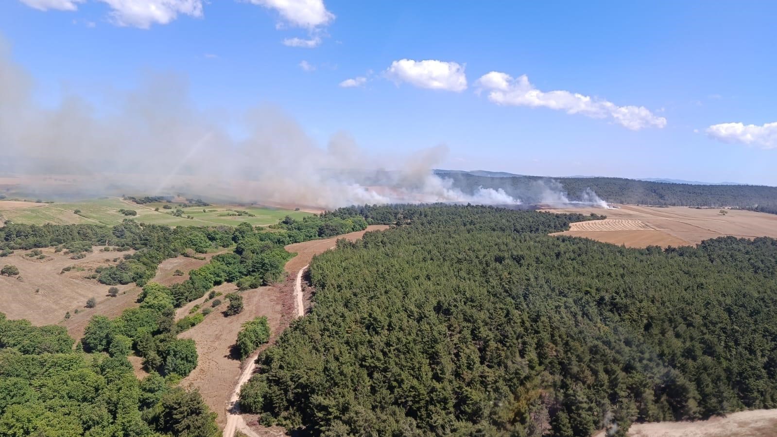 Çanakkale’de tarım arazisinde başlayan yangın ormana sıçradı
