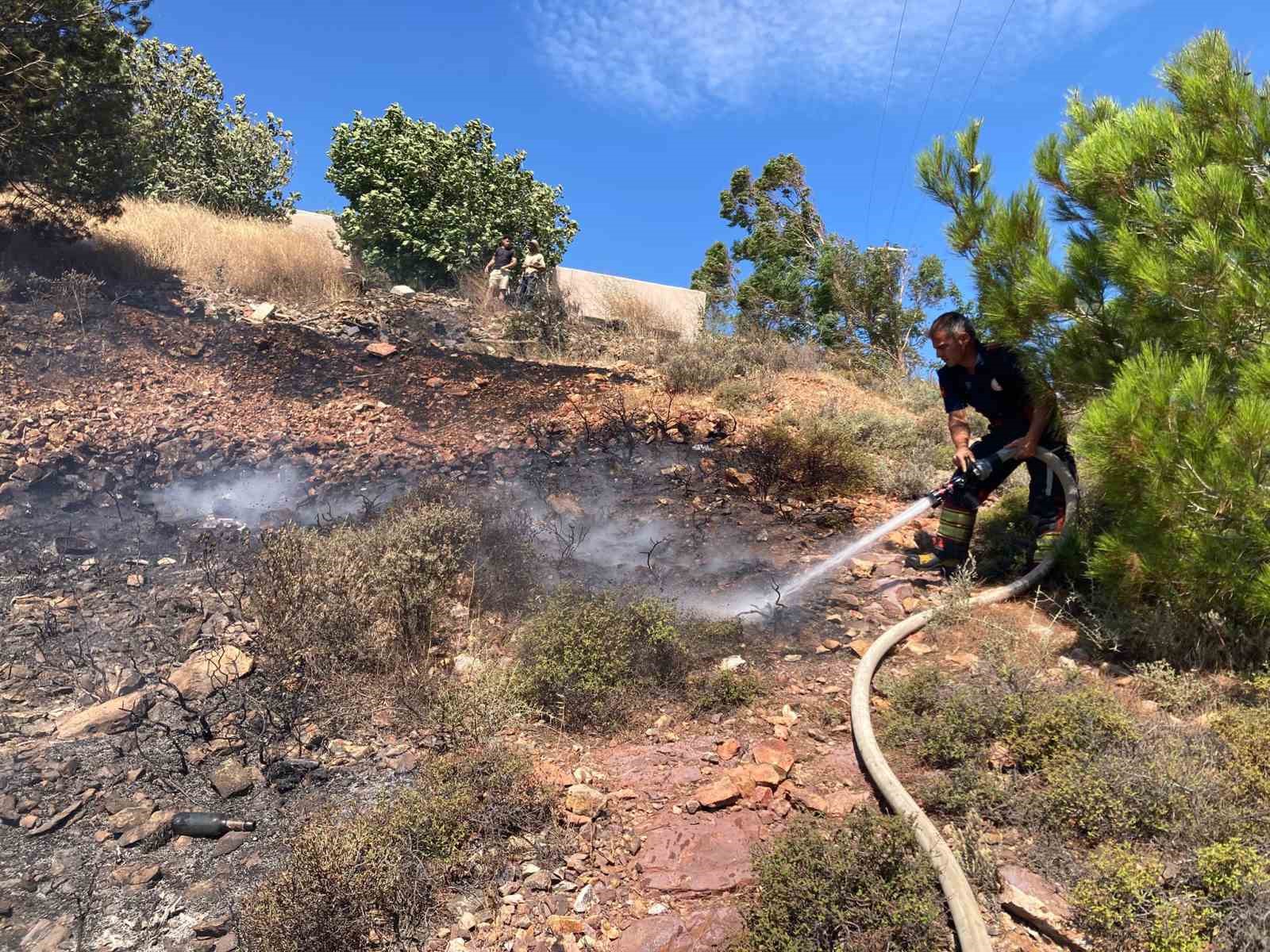 Cunda Adası’nda orman yangını
