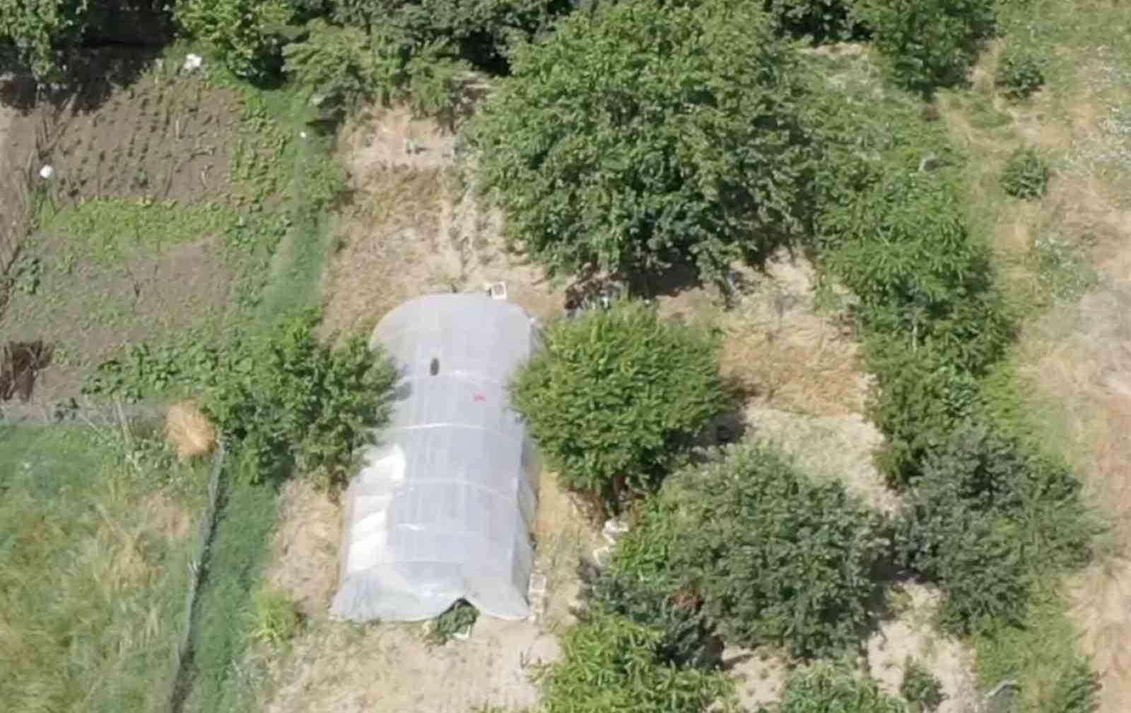 Dron destekli operasyonda seraya gizlenen hint kenevirleri ele geçirildi

