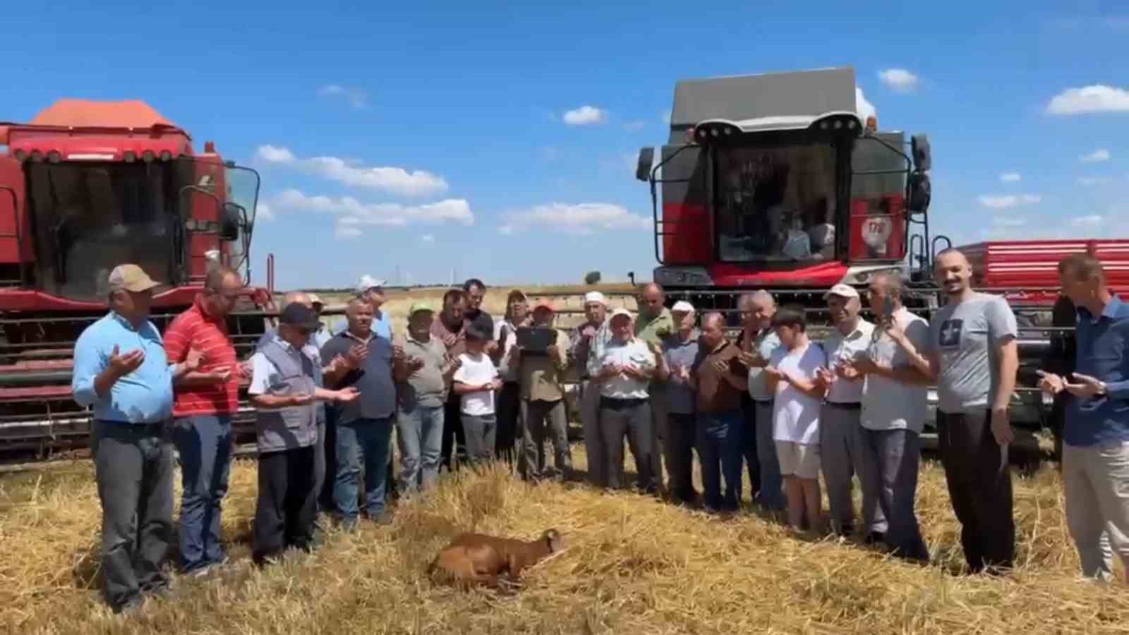 Edirne’de buğday hasadı dualarla başladı
