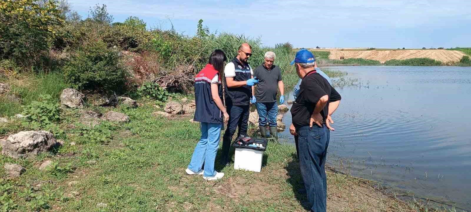 Edirne’de toplu balık ölümlerinin yaşandığı göletten numune alındı
