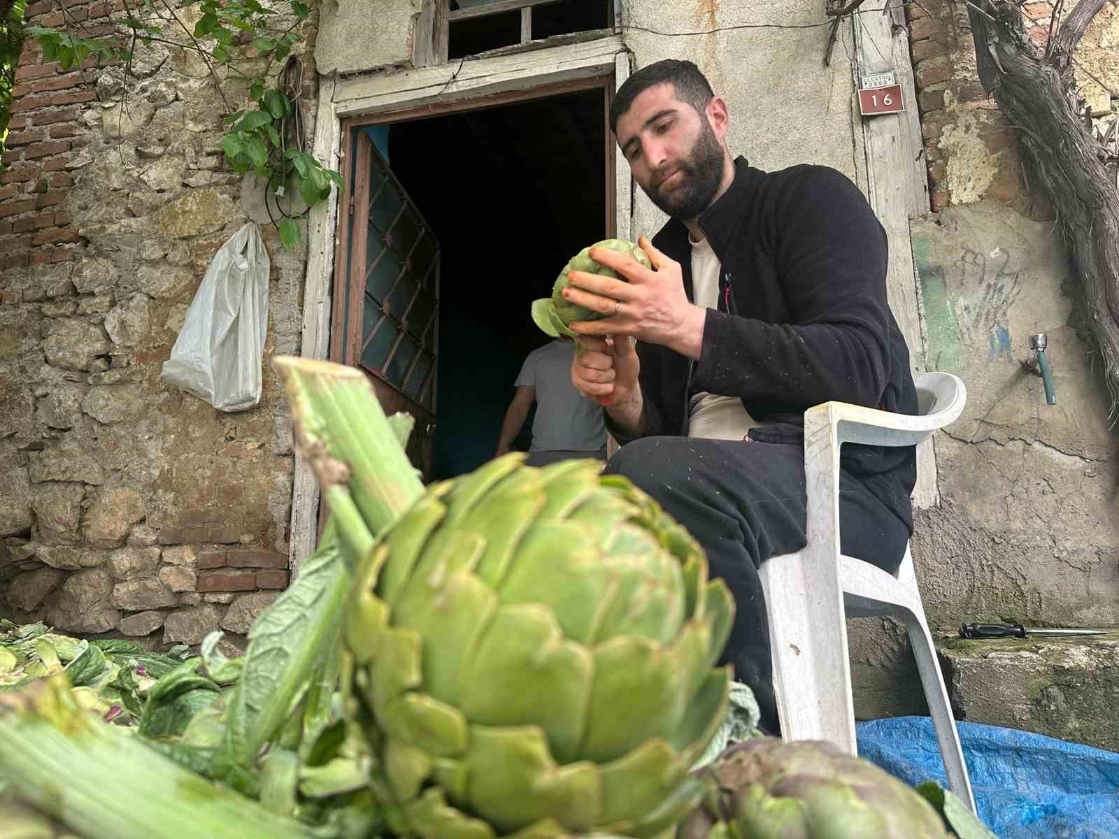 Enginar soyarak ayda 240 bin lira kazanıyor

