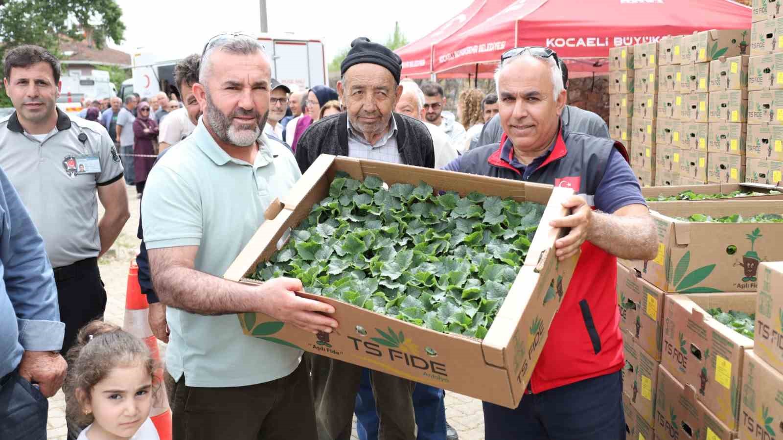 Gebzeli çiftçiye 500 bin sebze fidesi desteği
