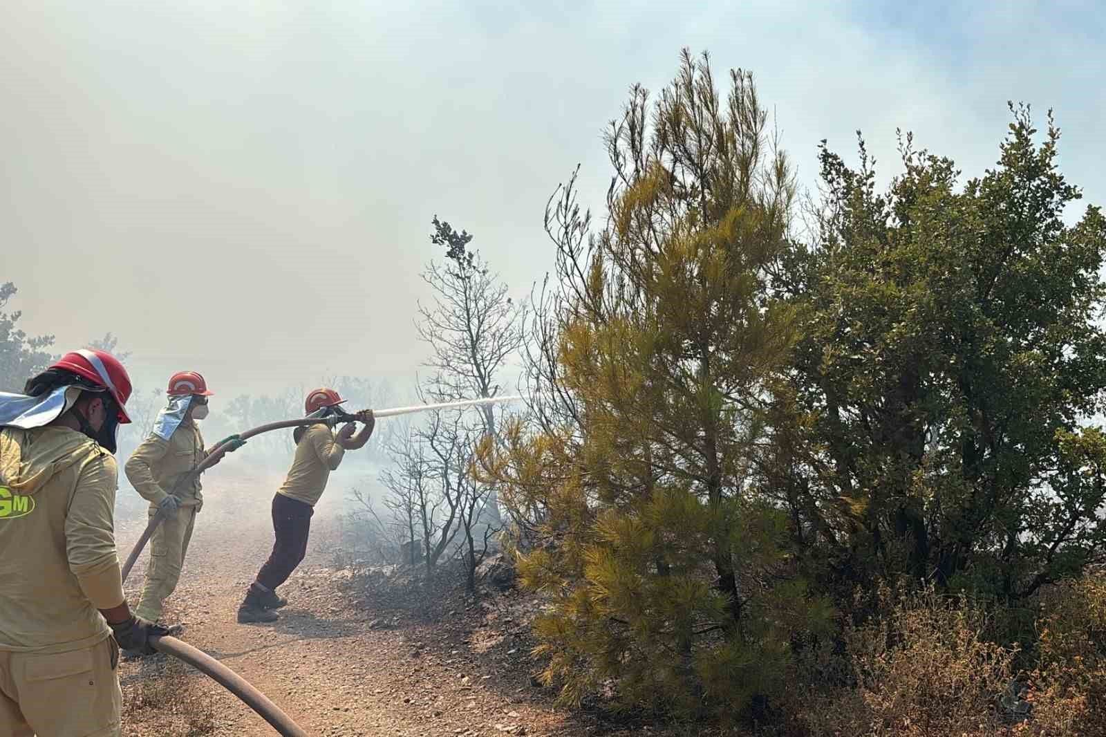 Gömeç’te orman yangınına havadan ve karadan yoğun müdahale
