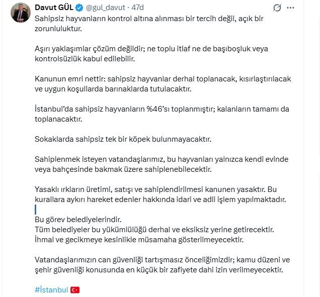 İstanbul Valisi Davut Gül: "Sahipsiz hayvanların yüzde 46’sı toplanmıştır; kalanların tamamı da toplanacaktır"
