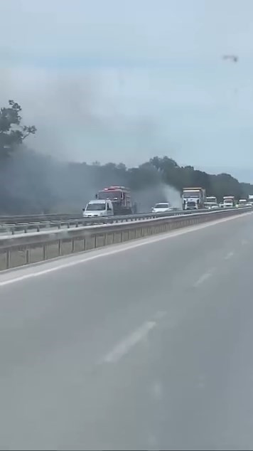 İzmir-Bursa kara yolunda alevler korkuttu
