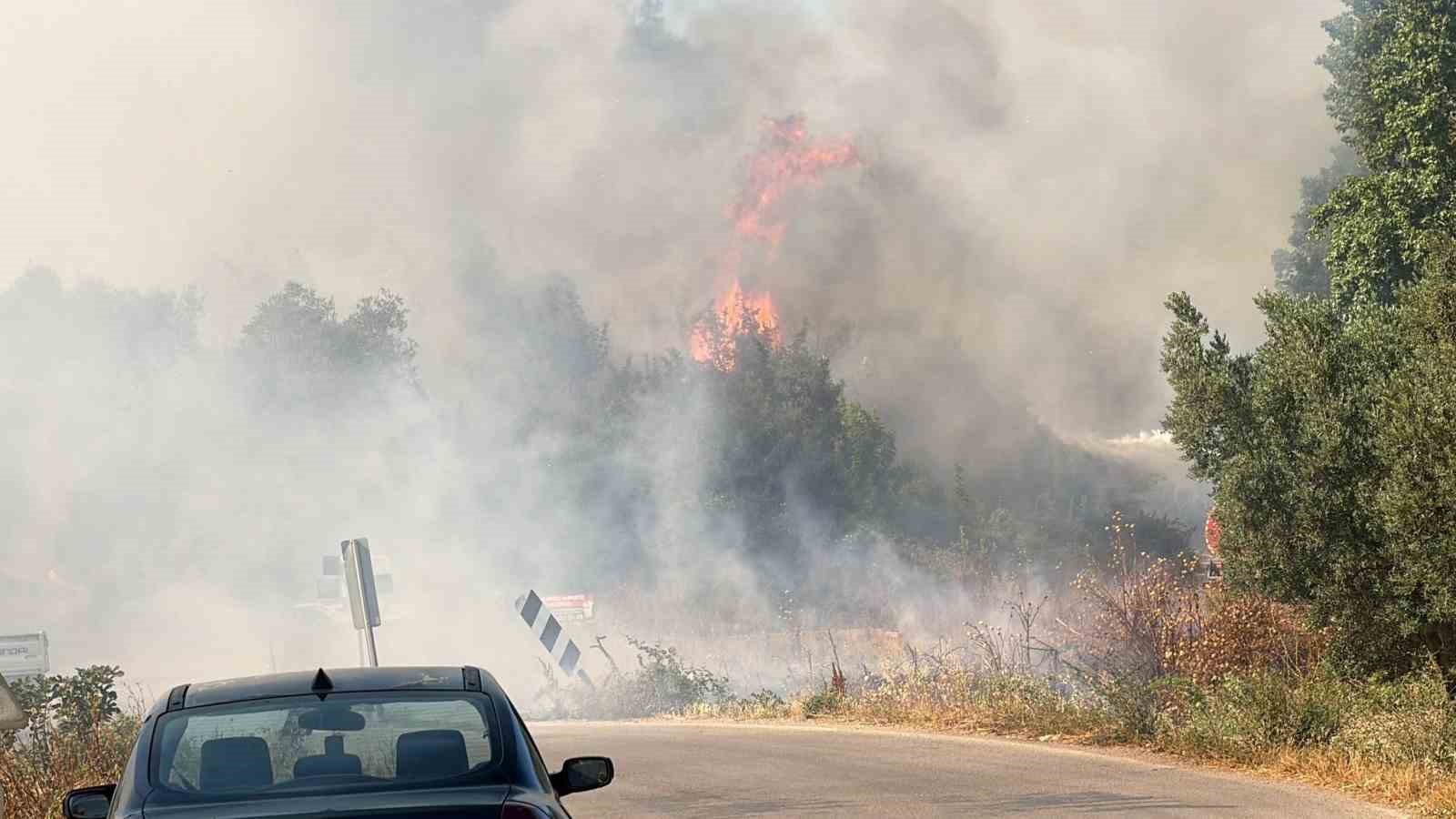 İznik’te korkutan yangın
