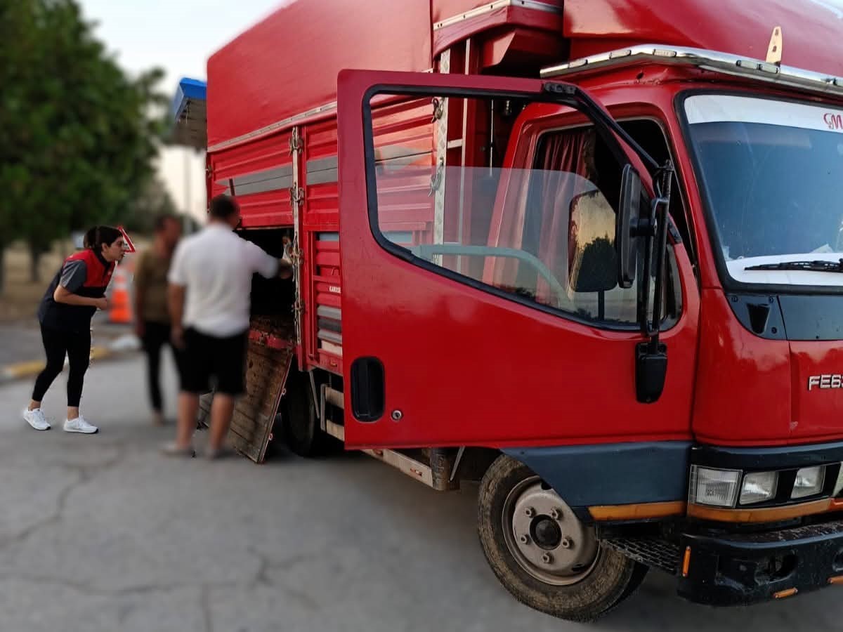 Kaçak hayvan sevkine 175 bin lira ceza
