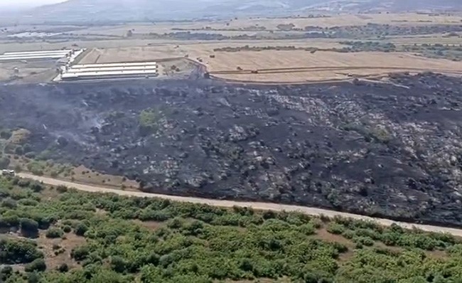 Karacabey’de makilik alandaki yangın fabrikaya ulaşmadan söndürüldü
