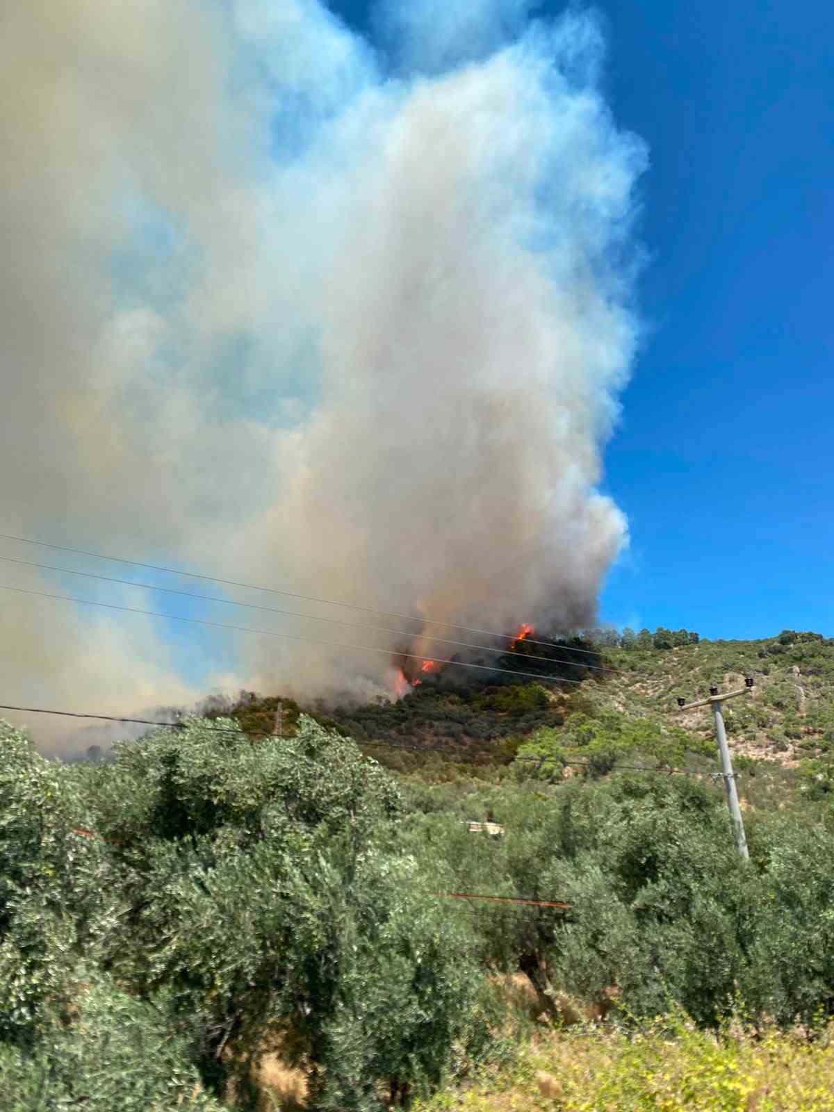 Kazdağı eteklerinde yangın
