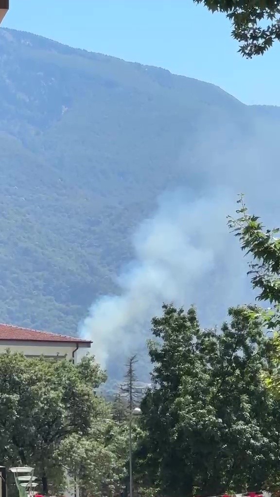 Kestel’de orman yangını
