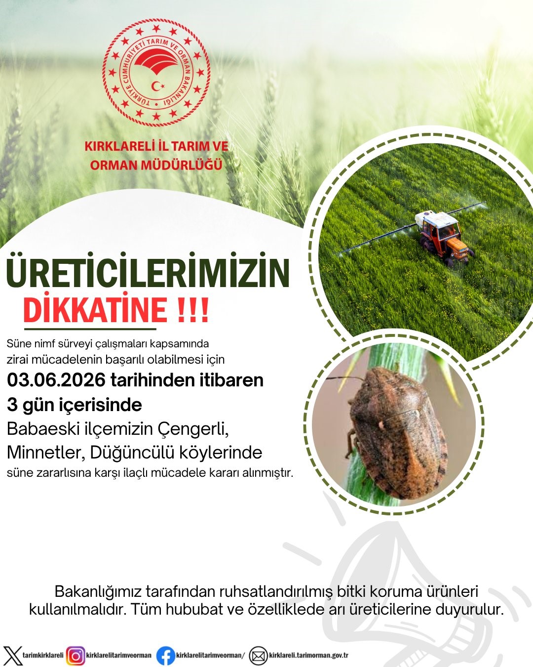 Kırklareli’nde süne zararlısına karşı ilaçlama uyarısı
