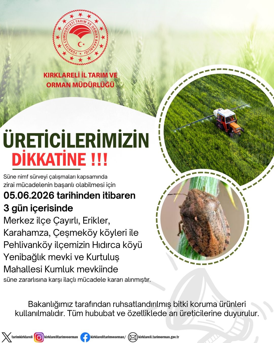 Kırklareli’nde süne zararlısına karşı ilaçlı mücadele kararı

