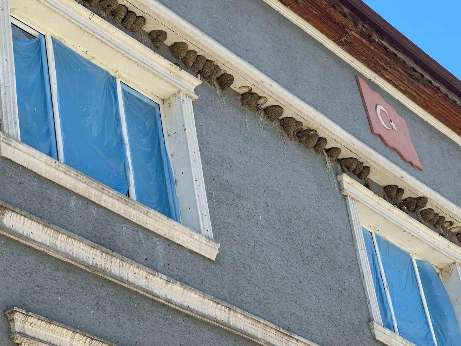 Kırlangıç yuvalarını bozmayıp pencereleri naylonla kapladılar
